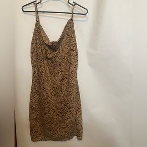 Kittenish, Medium, Cheetah/Leopard